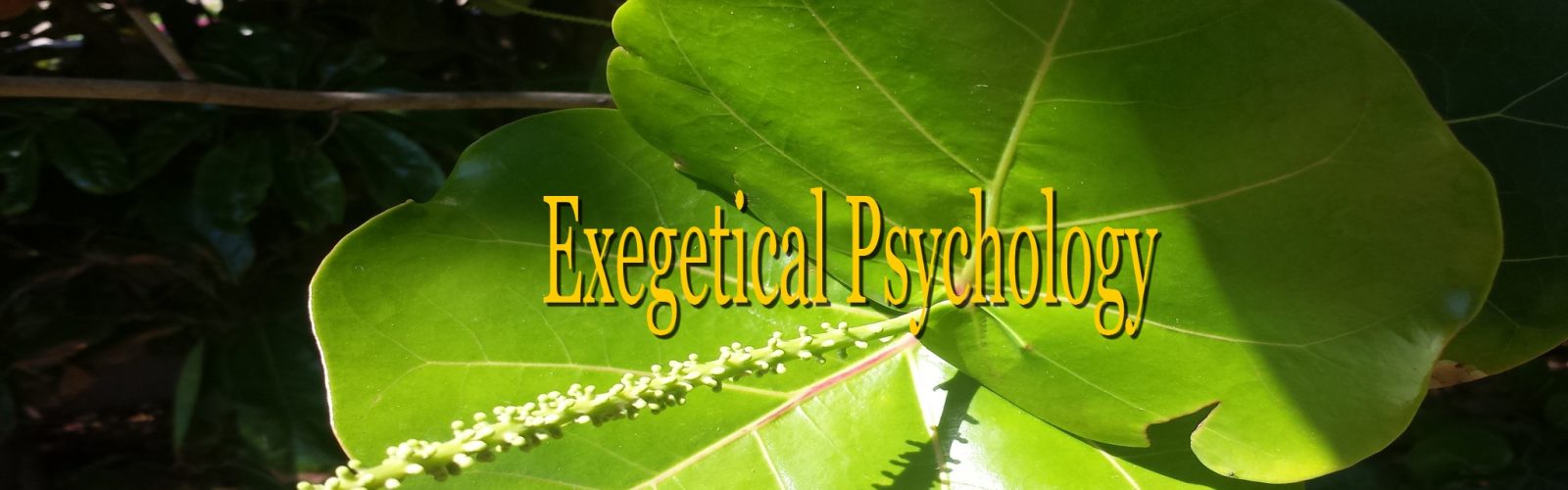 Exegetical Psychology